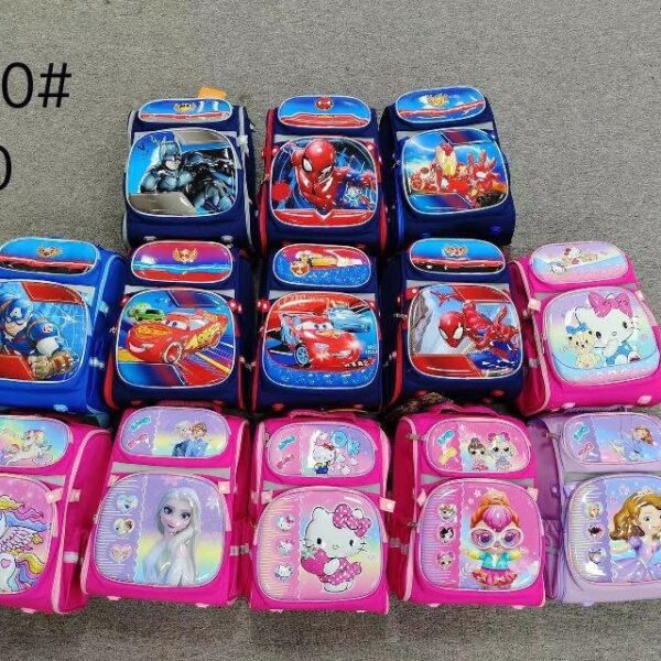 Hanny box school bag